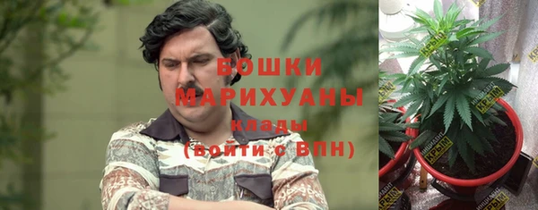 дживик Няндома