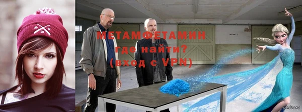 дживик Няндома