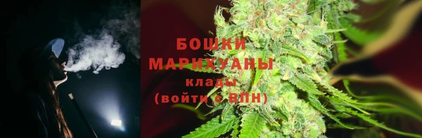 твердый Нягань