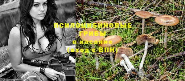 дживик Няндома