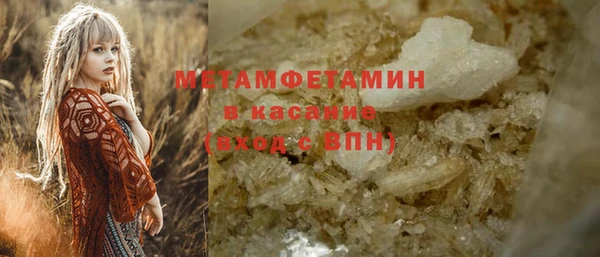 дживик Няндома