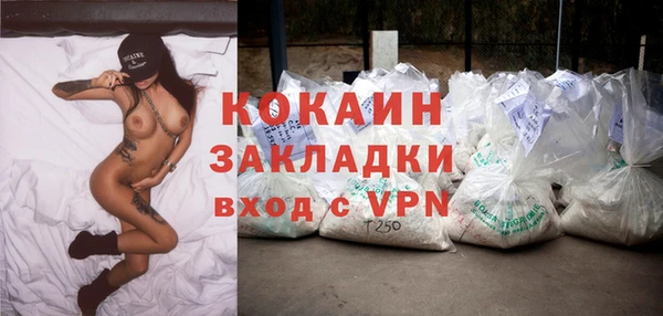 дживик Няндома