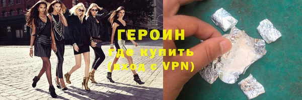 дживик Няндома
