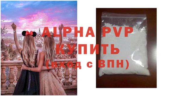 крисы Новозыбков